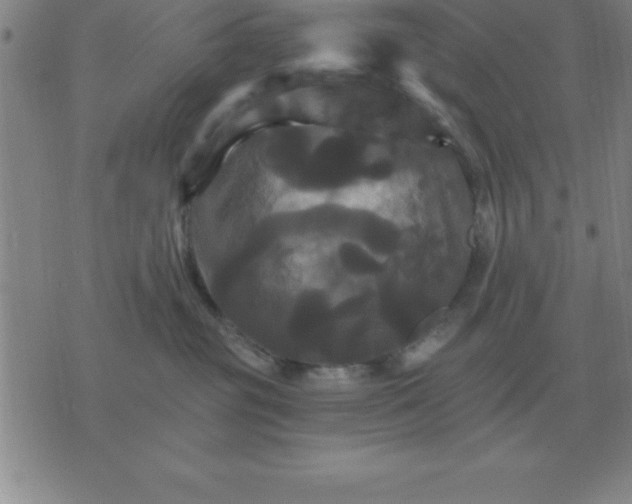 X0000075860381200610061943