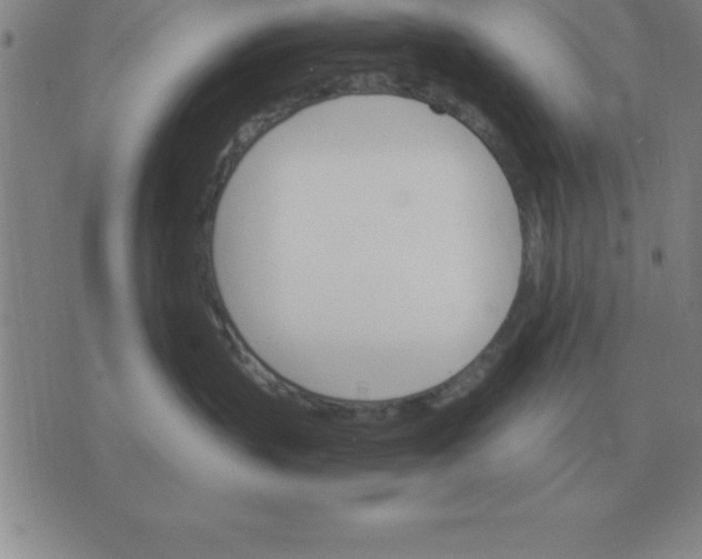 X0000075860383200610061943