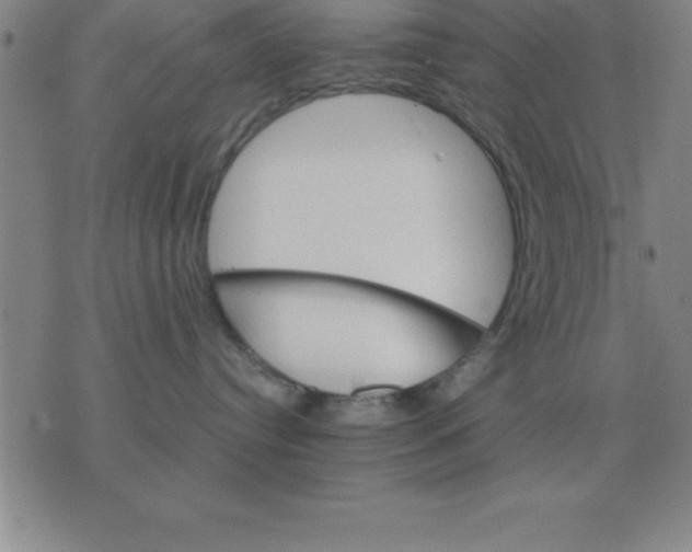 X0000075860384200610061943