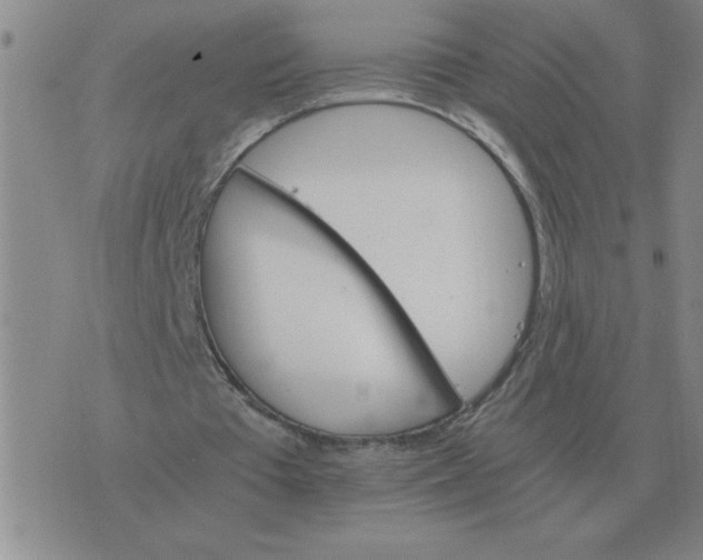 X0000075860385200610061942