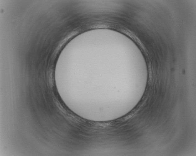 X0000075860386200610061942