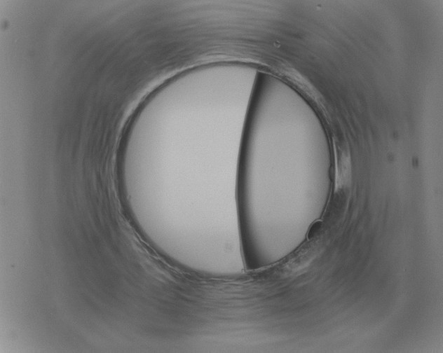 X0000075860387200610061942