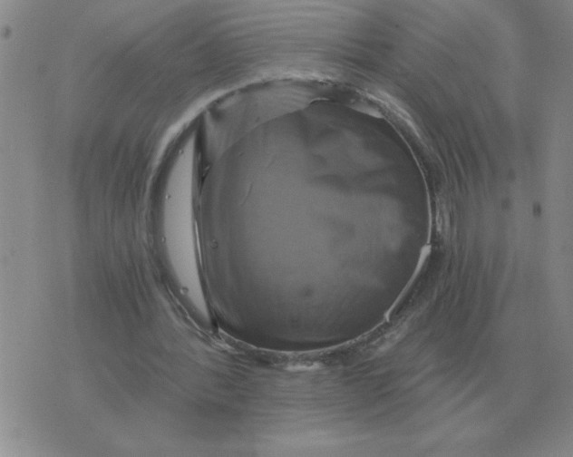 X0000075860388200610061942