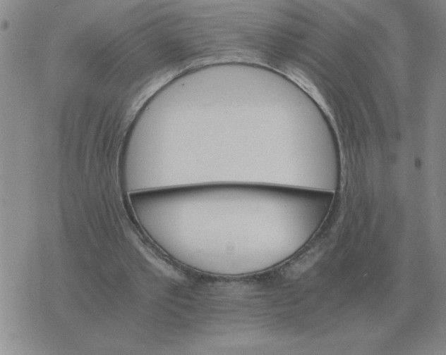 X0000075860389200610061942