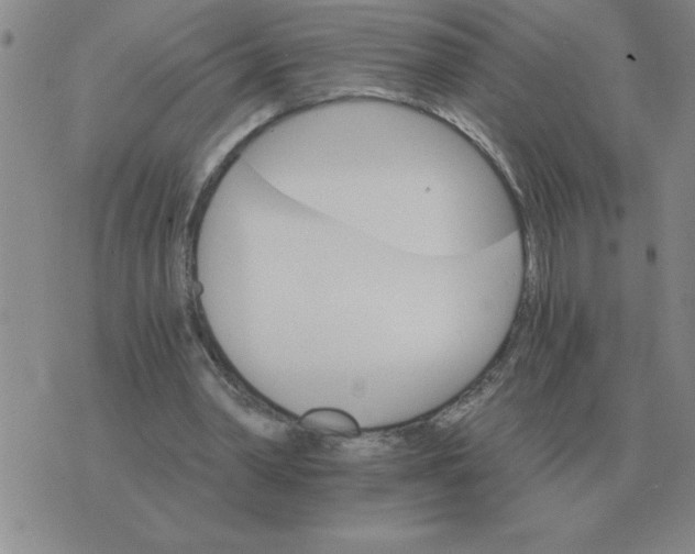 X0000075860390200610061942