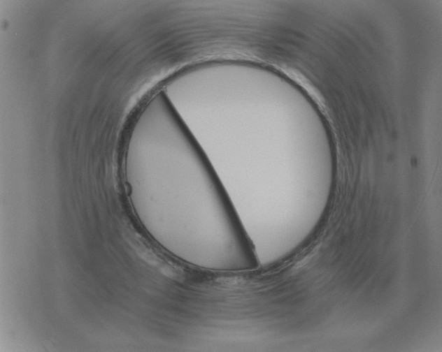 X0000075860391200610061942