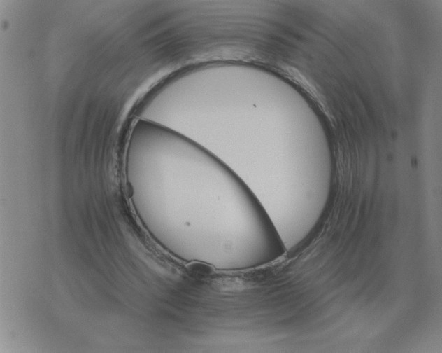 X0000075860392200610061942