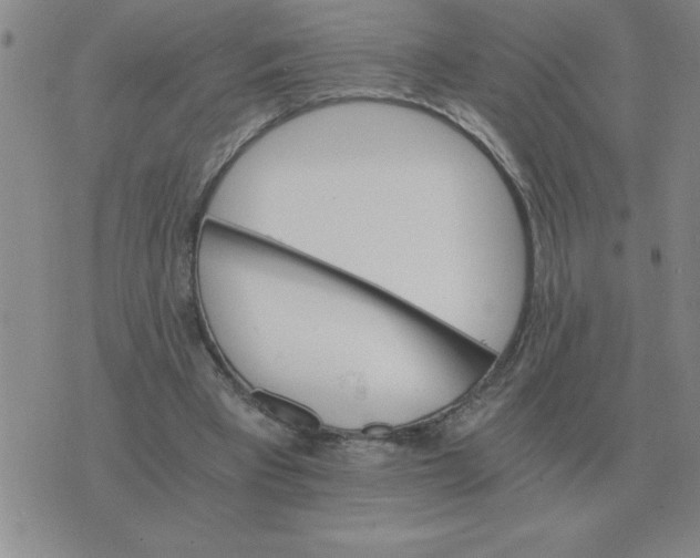 X0000075860393200610061942