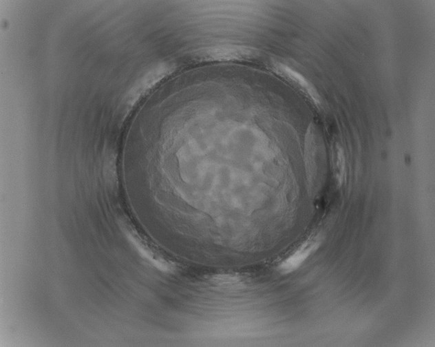 X0000075860394200610061942