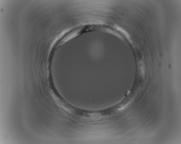 X0000075860395200610061942