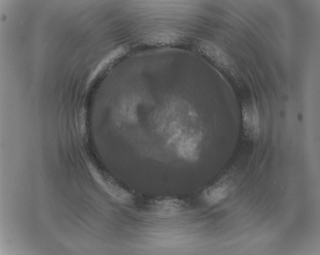 X0000075860396200610061942