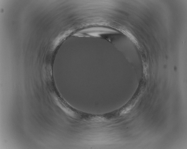 X0000075860397200610061942