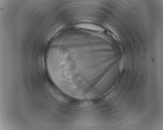 X0000075860398200610061942