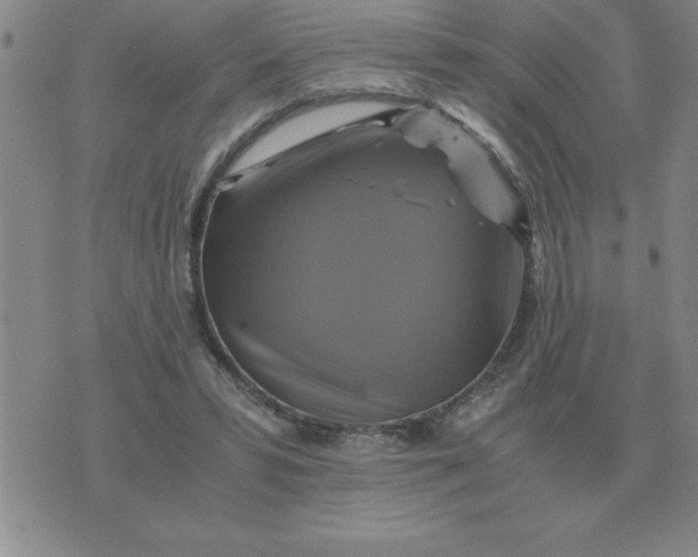 X0000075860399200610061942