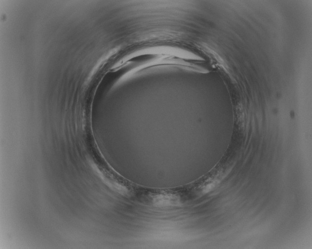 X0000075860400200610061942