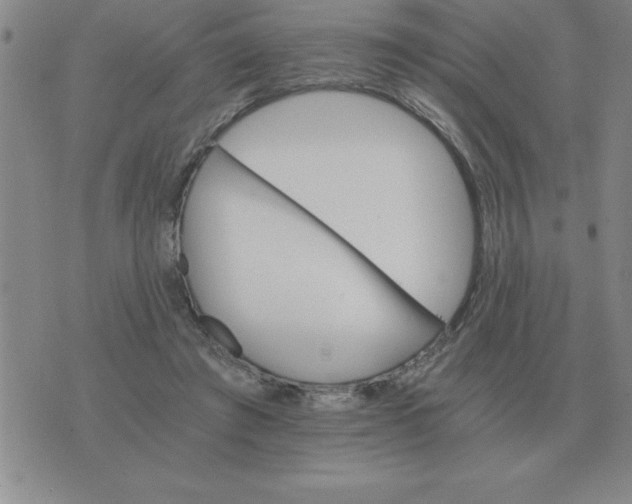 X0000075860401200610061942