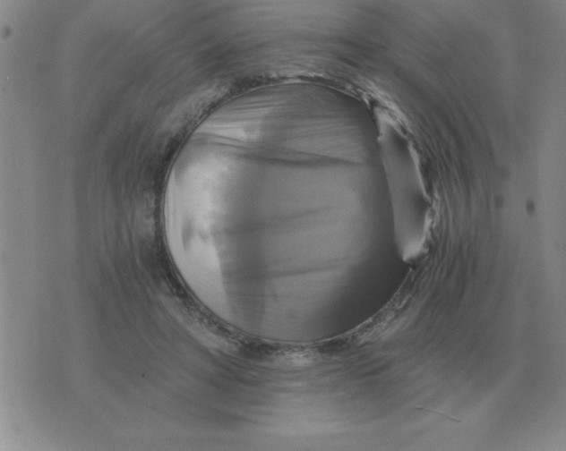 X0000075860402200610061942