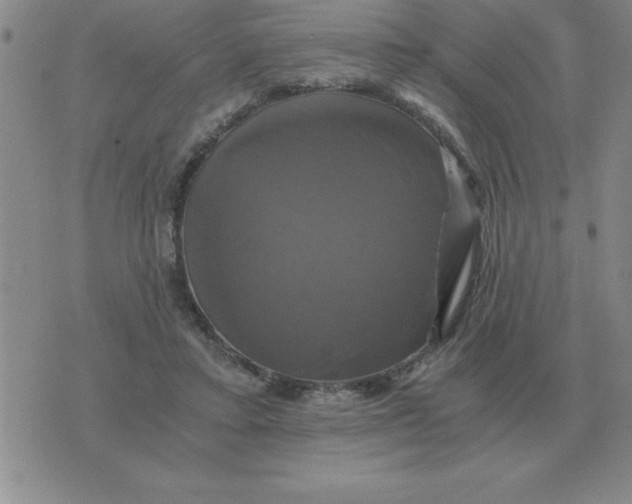 X0000075860403200610061942