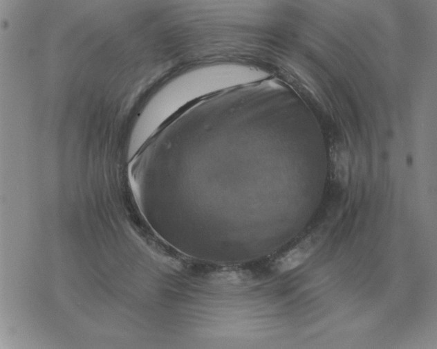 X0000075860404200610061942