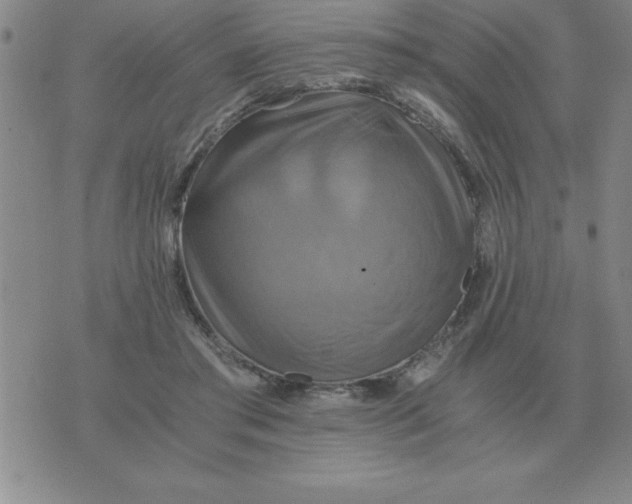 X0000075860405200610061942