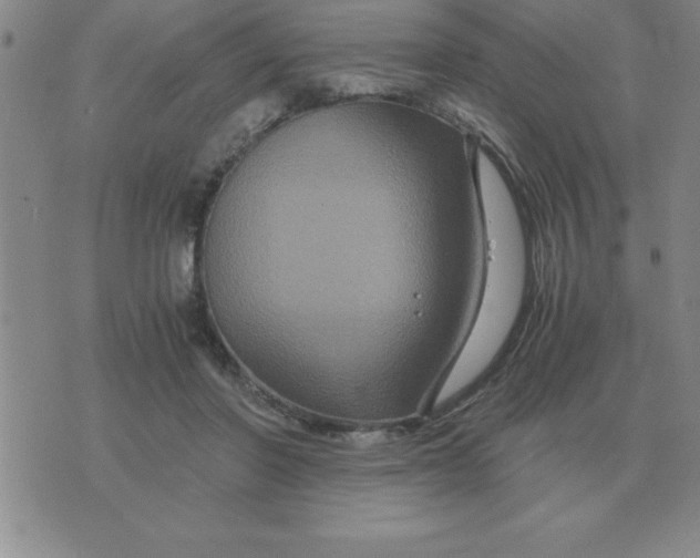 X0000075860406200610061942