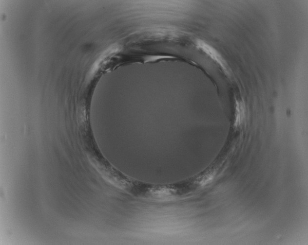 X0000075860407200610061942