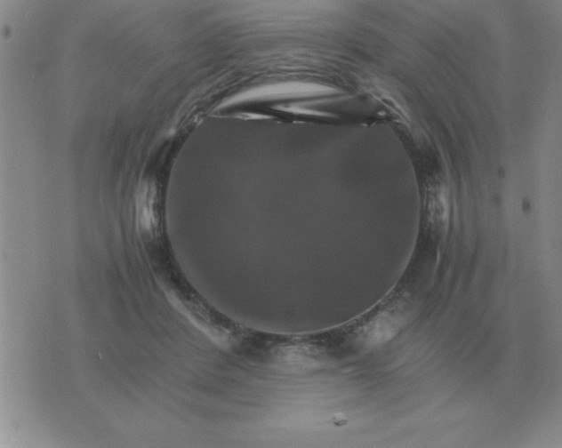 X0000075860408200610061942