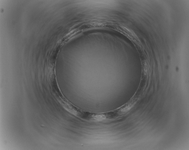 X0000075860409200610061942