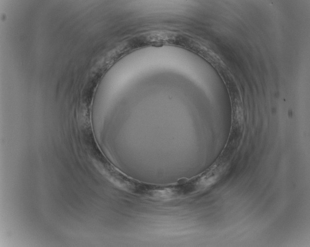 X0000075860411200610061942