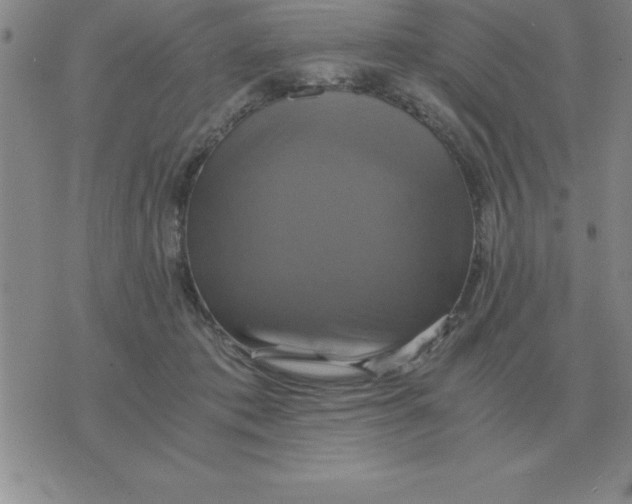 X0000075860413200610061942