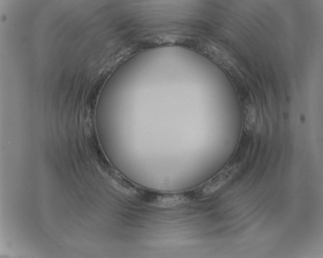 X0000075860414200610061942