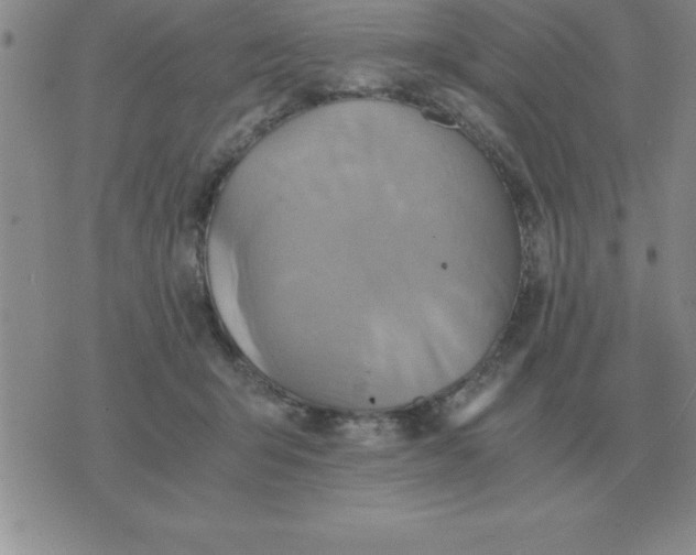 X0000075860415200610061942