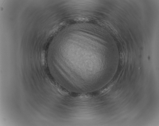 X0000075860416200610061942