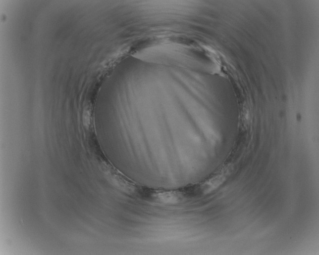 X0000075860417200610061942