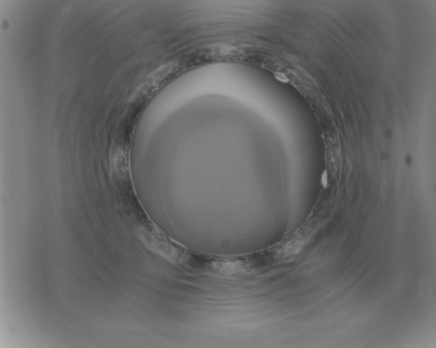 X0000075860419200610061942