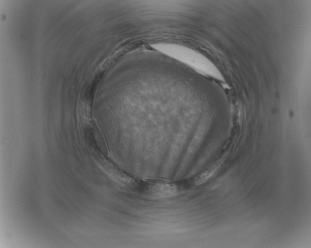 X0000075860421200610061942