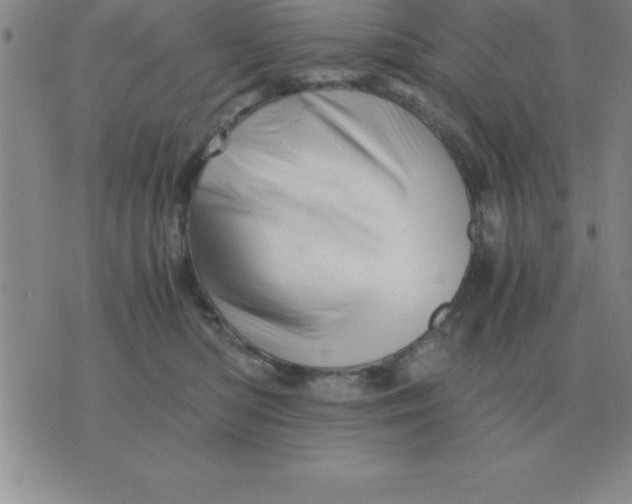 X0000075860422200610061942