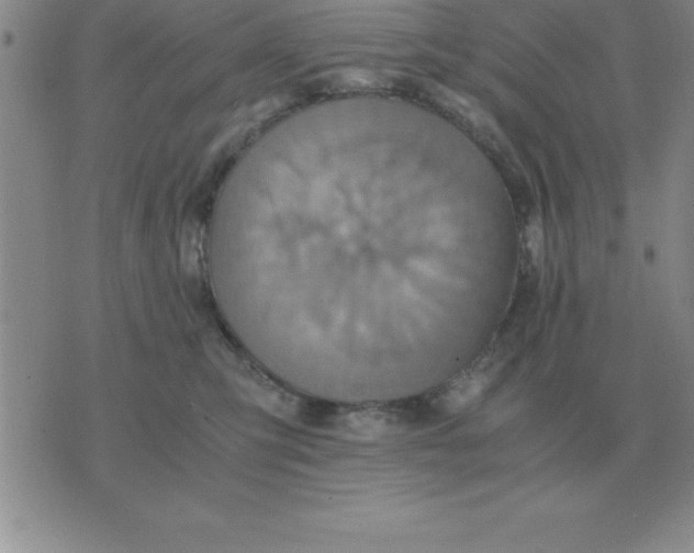 X0000075860423200610061942