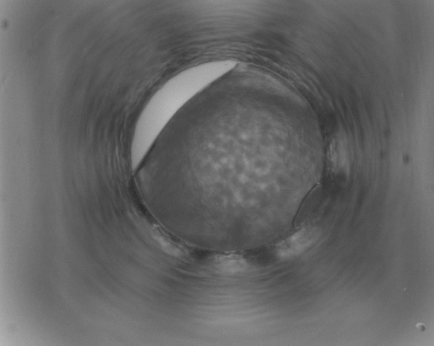 X0000075860424200610061942