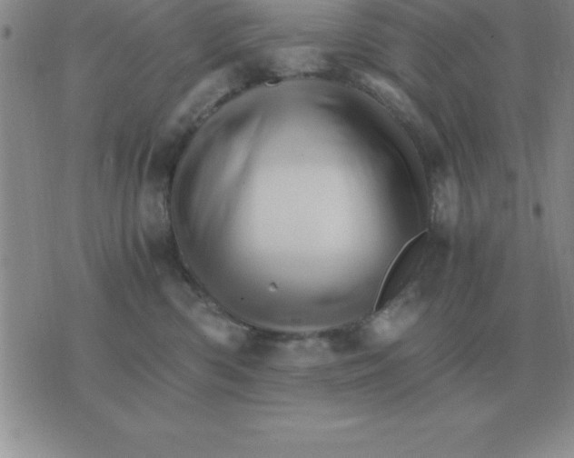 X0000075860426200610061942