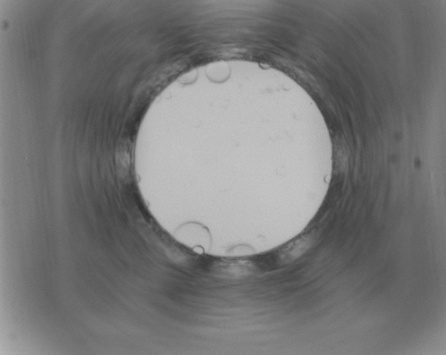 X0000075860427200610061942