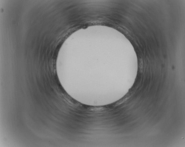 X0000075860428200610061942