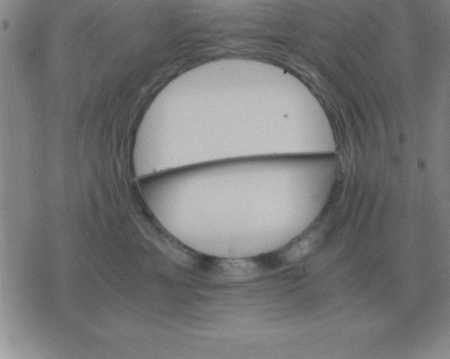 X0000075860429200610061942