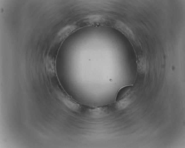 X0000075860430200610061942