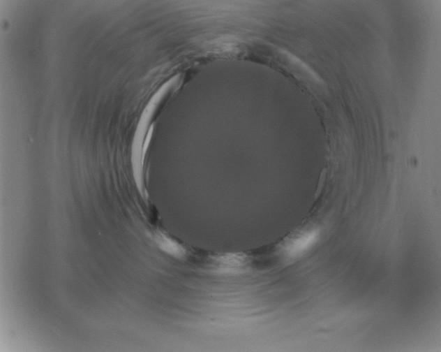 X0000075860432200610061942