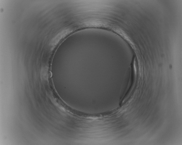 X0000075860434200610061941