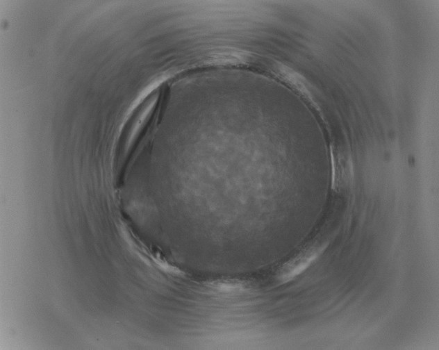 X0000075860435200610061941