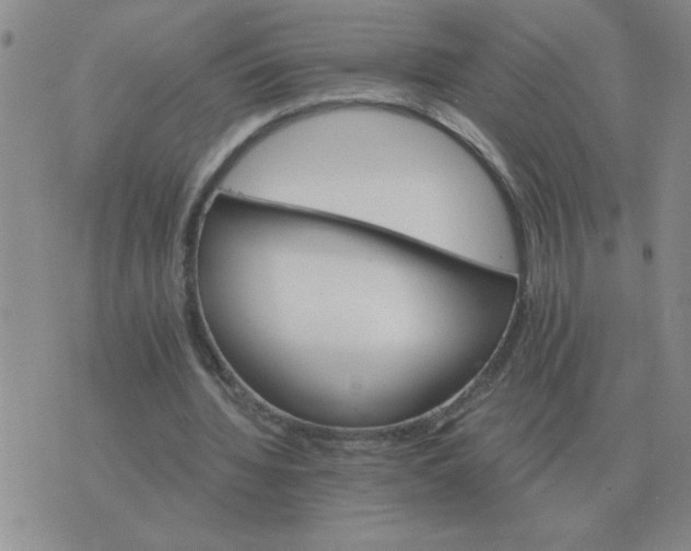 X0000075860436200610061941