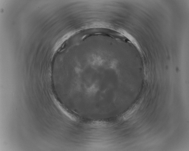 X0000075860437200610061941