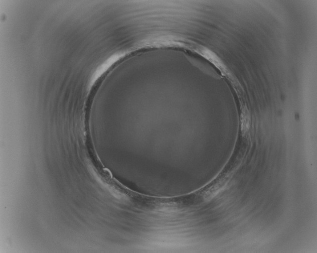 X0000075860438200610061941